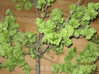 榆树钱鸡蛋烙的做法步骤:2