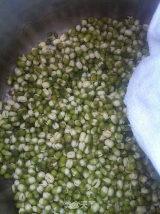 自制绿豆芽的做法步骤:6