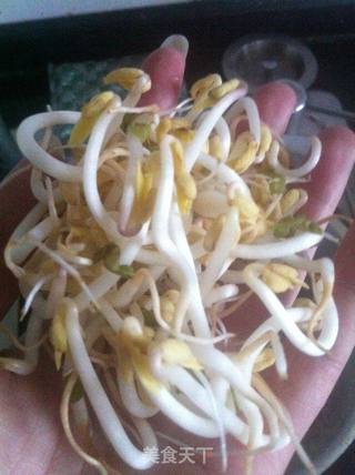 自制绿豆芽的做法步骤:11