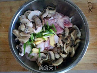 鲜蘑猪肉馄饨的做法步骤:5