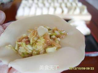 圆白菜水饺的做法步骤:11