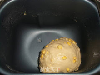 奶香玉米小餐包的做法步骤:4