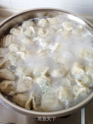 猪肉茴香饺子的做法步骤:9