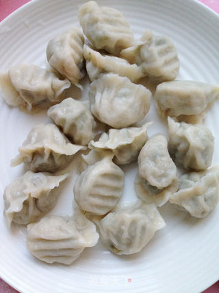 猪肉茴香饺子的做法步骤:10