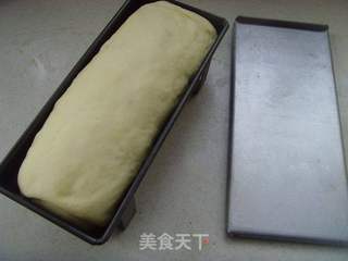 一抹清新风----双色抹茶吐司的做法步骤:12