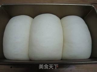 汤种北海道吐司的做法步骤:11