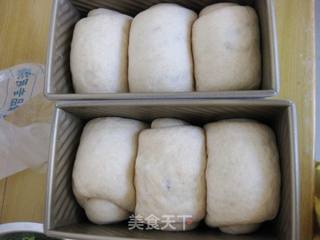 全麦土司的做法步骤:12
