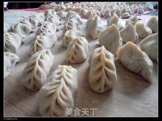 好吃不过-茴香饺子的做法步骤:10