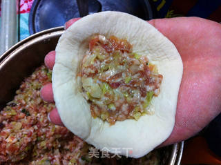 鲜肉包子全过程的做法步骤：12