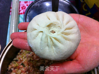 鲜肉包子全过程的做法步骤：14