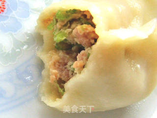 秋季清爽宜人小吃———芹菜猪肉饺子的做法步骤:13
