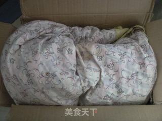 详解醪糟做法的做法步骤:14