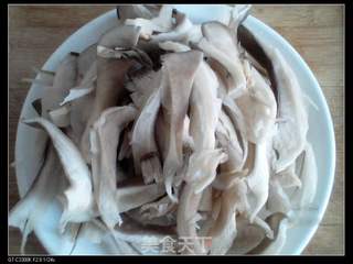 葱香鲜蘑的做法步骤:2