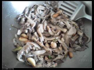 葱香鲜蘑的做法步骤:6