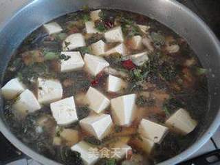 芥菜缨子炖豆腐的做法步骤:8