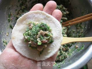 韭菜猪肉饺子的做法步骤:6