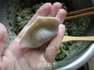 韭菜猪肉饺子的做法步骤:7