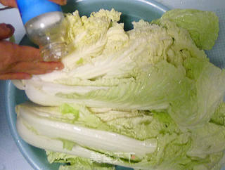 朝鲜辣白菜的做法步骤:2