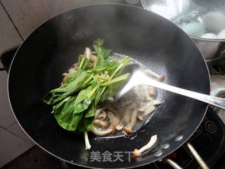 蚝油蟹味菇炒青菜的做法步骤：5