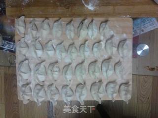 茴香猪肉饺子的做法步骤:6