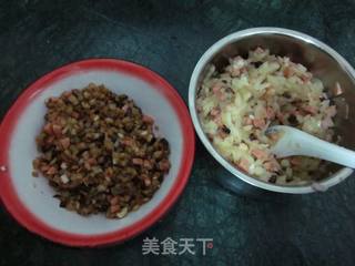 茄香洋葱手工饺的做法步骤:9