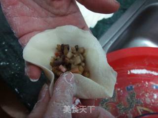 茄香洋葱手工饺的做法步骤:12