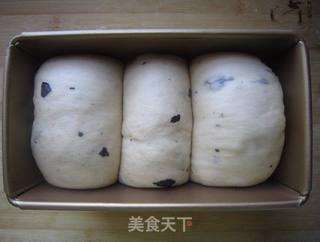 黑加仑土司的做法步骤:13