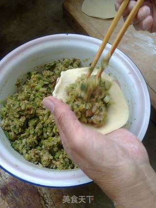 鸡肉馅包子的做法步骤:6