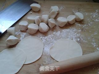 鲜美多汁——韭菜鸡蛋虾皮饺子的做法步骤:4