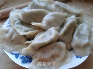 鲜美多汁——韭菜鸡蛋虾皮饺子的做法步骤:8