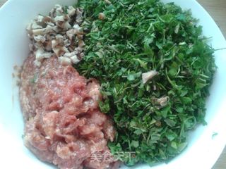 野菜飘香——荠菜鲜肉饺子的做法步骤:2