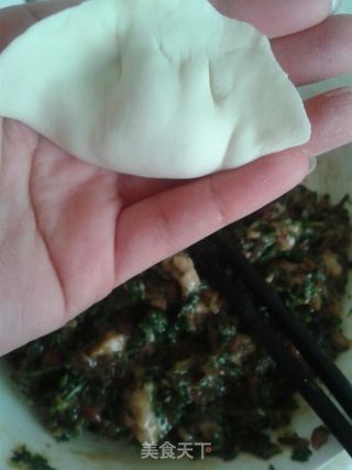 野菜飘香——荠菜鲜肉饺子的做法步骤:4