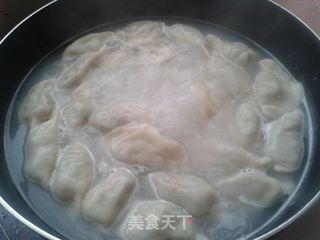 野菜飘香——荠菜鲜肉饺子的做法步骤:5