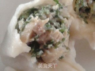 野菜飘香——荠菜鲜肉饺子的做法步骤:8
