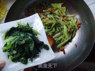 海米扒油菜的做法步骤:15