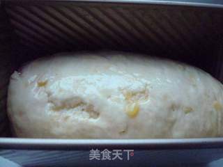哈密瓜脯吐司的做法步骤:15