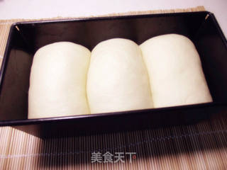 蔓越莓土司的做法步骤:9