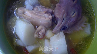 暖胃鸡汤的做法步骤：9