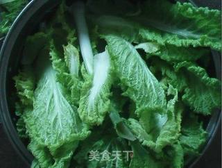 白菜猪肉包的做法步骤:4
