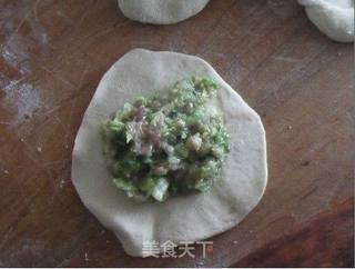 白菜猪肉包的做法步骤:10