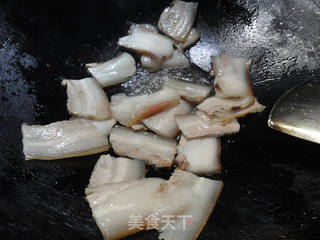 麻辣-----豉香回锅肉的做法步骤:7