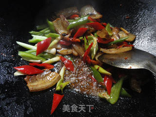 麻辣-----豉香回锅肉的做法步骤:12
