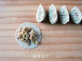 我爱吃的饺子——素馅饺子的做法步骤:8