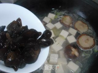 鲜香豆腐汤的做法步骤：7