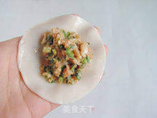 【鲜肉柳叶饺】--- 美丽的外形带来更好的食欲的做法步骤:10