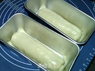 椰蓉吐司(冷藏发酵)的做法步骤:20
