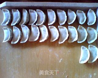 茴香肉饺子两吃,煮或做锅贴的做法步骤:5