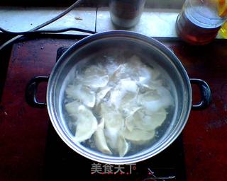 茴香肉饺子两吃,煮或做锅贴的做法步骤:6