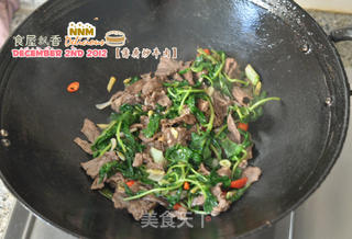 拈一把香草——薄荷炒牛肉的做法步骤:6