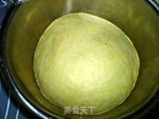 奶香葡萄干吐司(中种二次冷藏发酵)的做法步骤:5